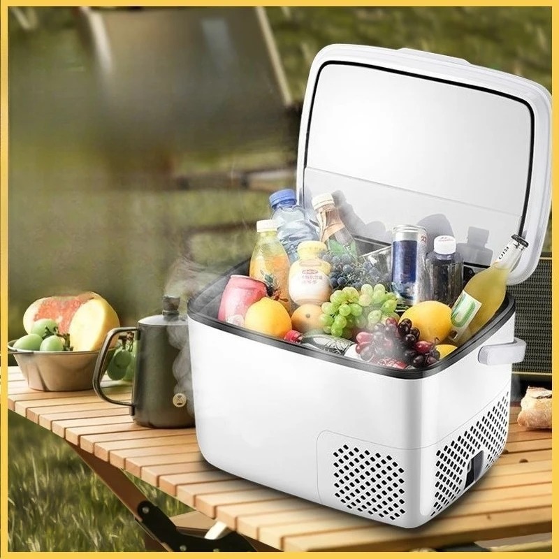 220V /12V /24V Car Refrigerato - Outdoor Furniture Zone reseña y precio