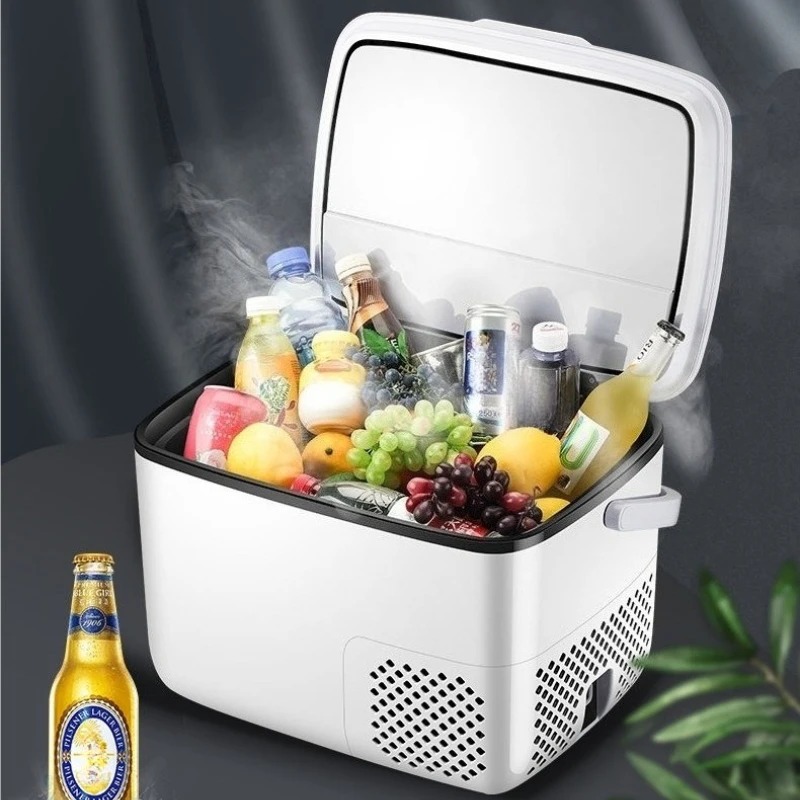 220V /12V /24V Car Refrigerato - Outdoor Furniture Zone reseña y precio